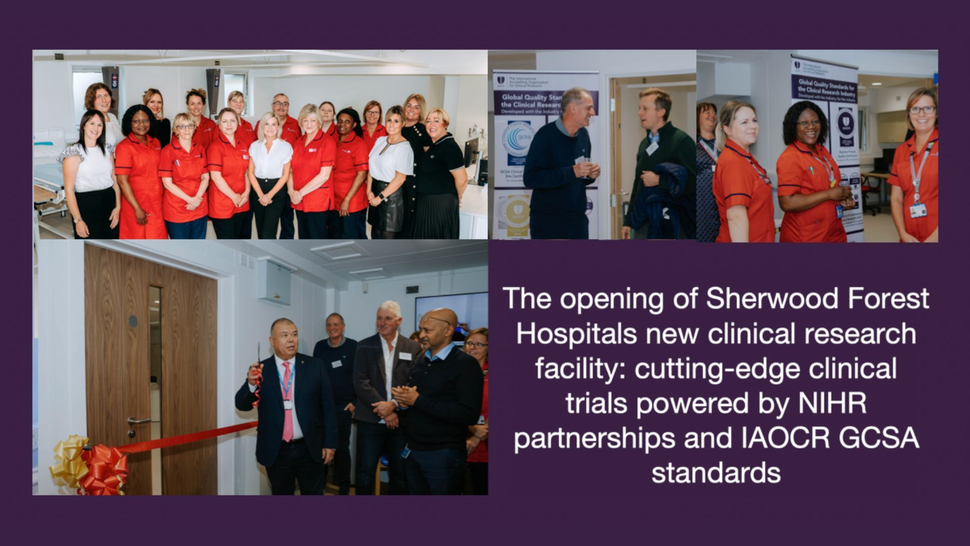 Sherwood-Forest-new1