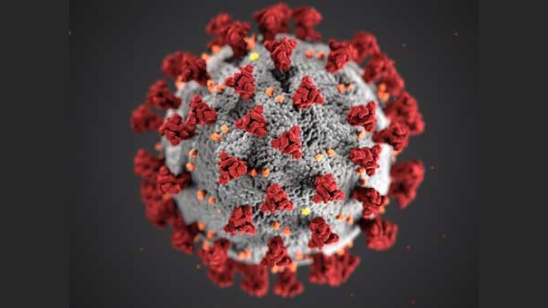 A year of COVID – how the clinical research industry has changed